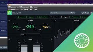 How to Use iZotope Insight 2 for Post Production | iZotope Tutorial