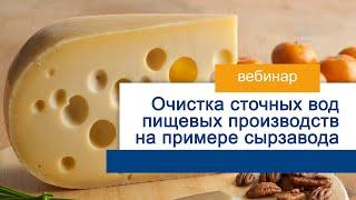 Очистка сточных вод пищевых производств на примере сырзавода