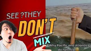 Why Pacific and Atlantic Ocean Do Not Mix?