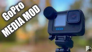 Is The MEDIA MOD Worth it for GoPro Hero10?