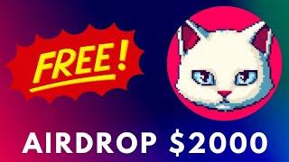 TapCat Free Airdrop - [Free Ton Coin Bot] Telegram Tap-To-Earn