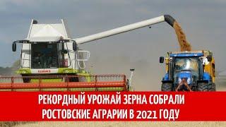 Рекордный урожай зерна собрали ростовские аграрии в 2021 году