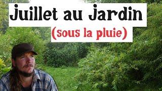 Juillet au jardin (sous la pluie)