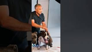 Relax Your Dogs Brain With A Deep Tissue massage I Cesar Millan #shorts