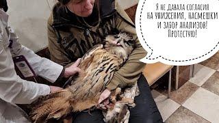 Owl thought she was going to Moscow to do shopping, but spent all the money on a doctor and tests