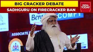 Diwali 2021: "Let Children Burst Crackers", Sadhguru On Firecracker Ban