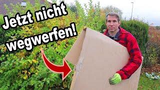 Warum du JETZT Pappe für deinen Garten brauchst!