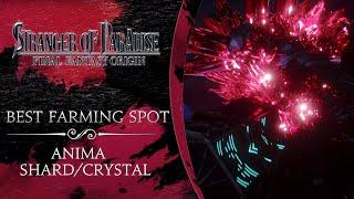 Stranger of Paradise Final Fantasy Origin | Best Anima Shard / Crystal Farming Spot