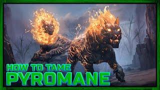 So zähmt Ihr den neuen PYROMANE | Taming Guide | ARK Survival Ascended | #Doctendo #Gaming