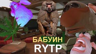 Баба RYТР