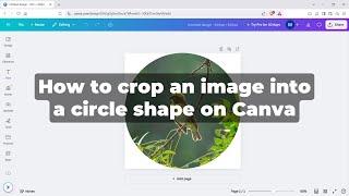 How to crop an image into a circle shape on Canva (trick)