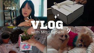 VLOGMAS: цветы, лыжи, собаки, выходные