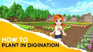 How to plant in DigiNation