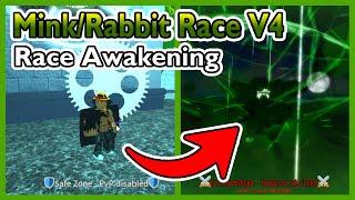 How To Get Mink/Rabbit Race V4 "Race Awakening" - Blox Fruits