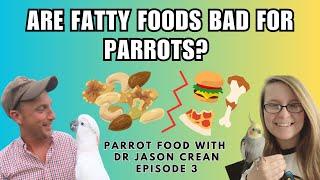 ARE FATTY FOODS BAD FOR PARROTS (SEEDS, NUTS, HUMAN FOOD) Parrot Food with Dr Jason Crean Episode 3