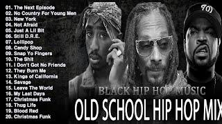 OLD SCHOOL HIP HOP MIX  Snoop Dogg, Dr Dre, Eminem, The Game, 50 Cent, 2PAC, DMX, Lil Jon,...
