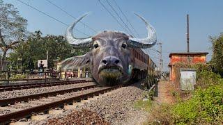 Dangerous Buffalo Headed Intercity Express Furious Skipping Throughout at Railgate