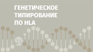 Ольга Барыгина про генетическое типирование по HLA