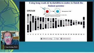 Telomere-to-telomere sequencing and evolution of complex regions of the human genome