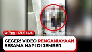 Viral Video Penganiayaan Sesama Napi di Jember, Pelaku Dipindahkan Ke Lapas Lain | Kabar Siang tvOne