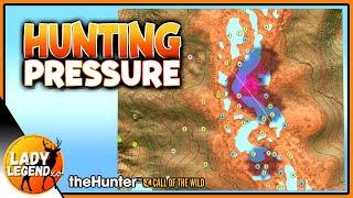 HUNTING PRESSURE & How to Remove It! - Call of the Wild