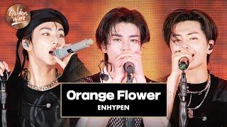 [골든 웨이브] ENHYPEN (엔하이픈) - 'Orange Flower (You Complete Me)'  | JTBC 240504 방송