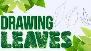 Drawing Basics | Easy Way To Draw A Leaf