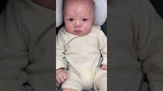 Lần đầu dẫn mèo Cody đi chợ thích lắm #Cody#3monthold baby#ccchannelcuocsongmy