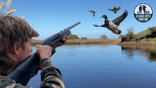 MOST DUCKS WE’VE EVER SEEN! 2024 Duck Hunting NZ