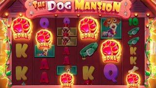 6 SCATTER BONUS on THE DOG HOUSE MEGAWAYS SLOT!