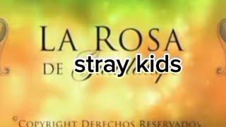 || LA ROSA DE STRAY KIDS || •MINSUNG• [el vídeo está completo]