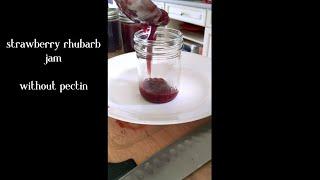 Strawberry Rhubarb Jam without Pectin