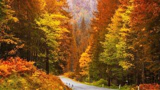 Beautiful Relaxing Music, Peaceful Soothing Instrumental Music, "Golden Autumn October" By Tim Janis