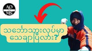 သင်္ဘောသားလောက  Seaman life ထဲ ရောက်မလာခင် ဒီဗီဒီယိုလေးကို သေချာကြည့်ပေးပါ။