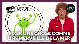 La leçon d'alsacien : "regarder une chose comme s'il s'agissait d'une merveille de la mer"