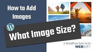 What's the Right Image Size for your Website