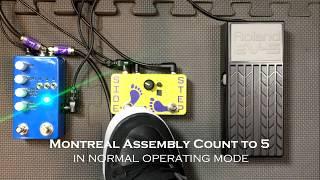 TWA Side Step Expression LFO and the Montreal Assembly Count to 5
