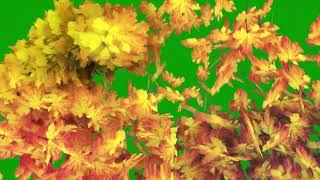 Leaves Transition Green Screen Effect