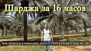 Чем заняться в пересадке в Эмиратах? Обзор Шарджа за 16 часов