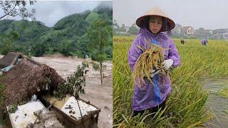 Binh's 24-HOUR Flood Relief Challenge!