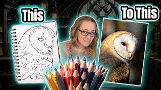 Draw a Barn Owl Colored Pencil & Pan Pastels with me Full Lesson