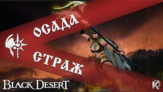 МЕМдийская осада / Страж / Black Desert 2024