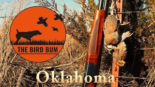 Oklahoma Quail Hunting & Truck Camping--January, 2024