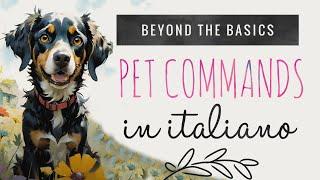 Common Dog Commands in Italiano