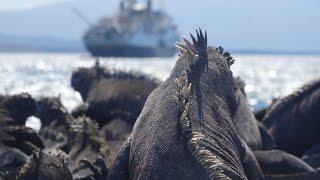 Galápagos Islands with Lindblad Expeditions & National Geographic