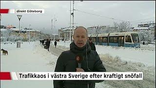 Blooper from Swedish news: "I haven't seen a single tram" - TV4