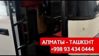 Алматы Ташкент автобус спальный #алматы #ташкент #автобус