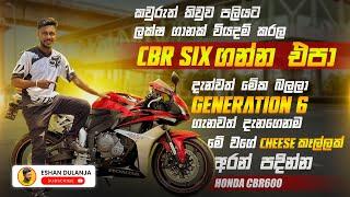 කවුරුත් කැමති Honda CBR600 Sri Lanka Sinhala bike review by ​⁠ @EshanDulanja (H2 එකේ අයියා)