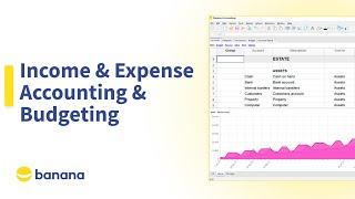 Income & Expense Accounting and Budgeting | Banana+