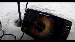 How to Read the Humminbird 360